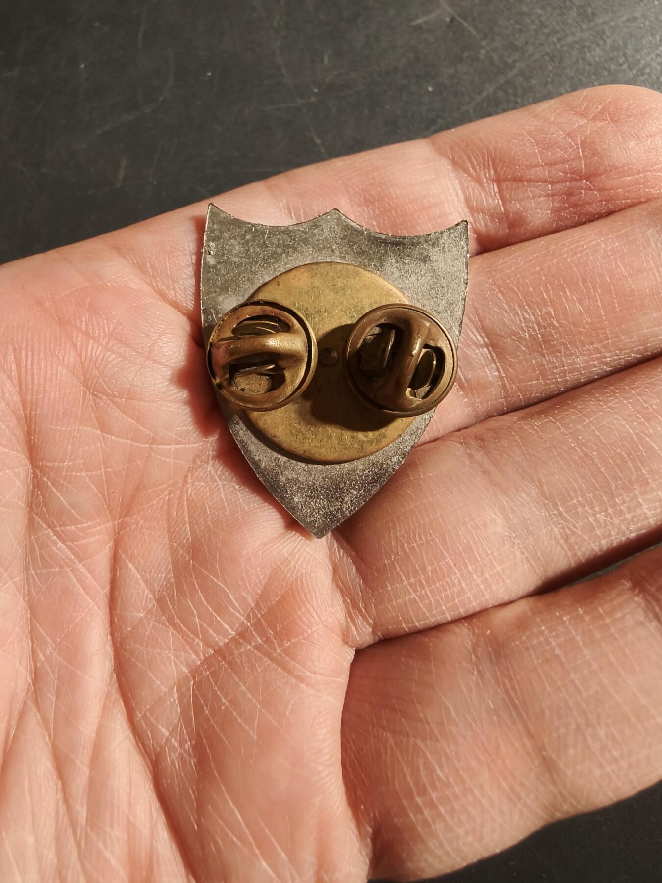 老王徽章第171期