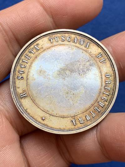 《竞宝斋》第449场 周日，周一，周二  3场连拍 （全场包邮，欢迎送拍） 意大利托斯卡纳园艺学会银章，荣耀归于田野与花园，极美高浮雕，24.15克，37.5mm