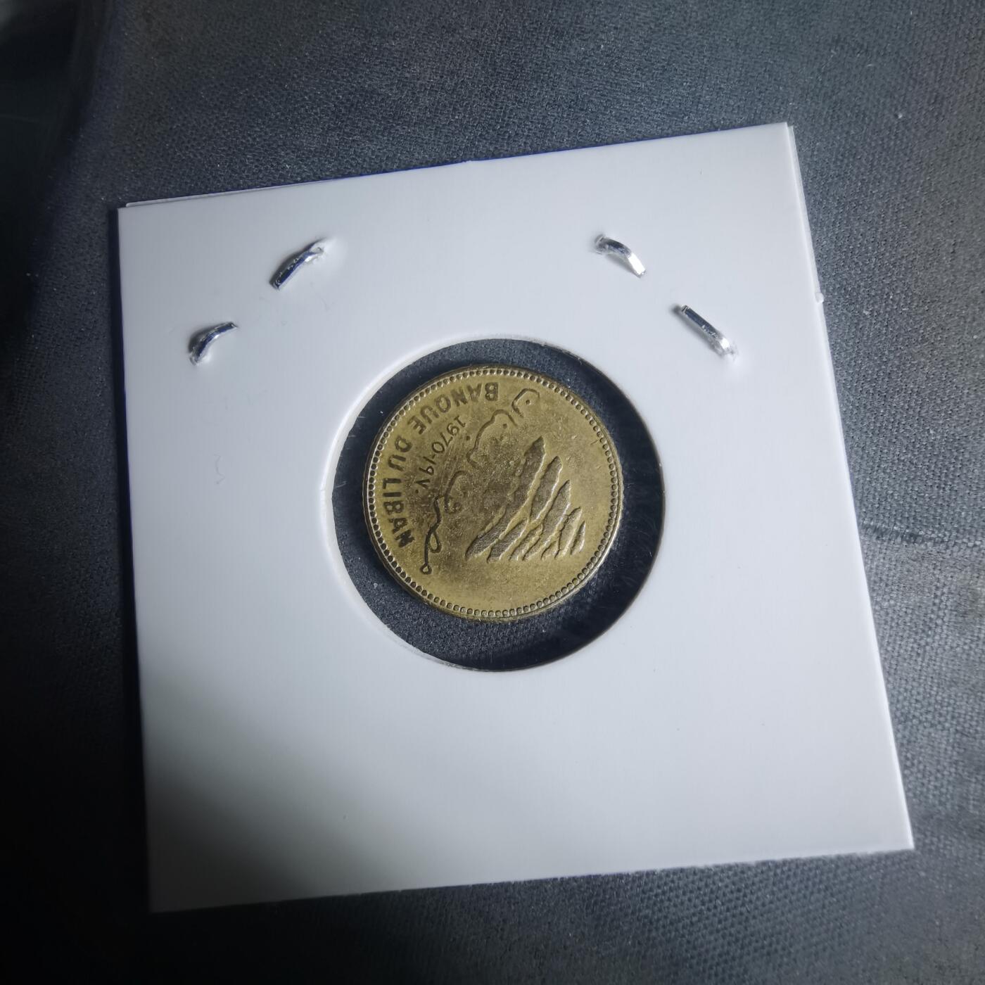 沼泽如烟--第940场