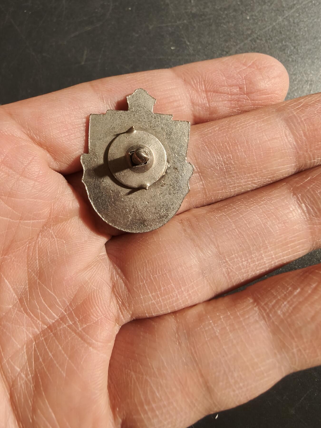 老王徽章第171期