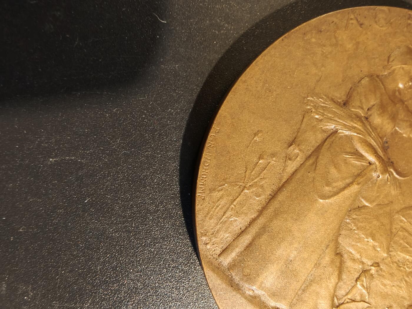 老王徽章第171期 法国萨瓦省圣朱利安昂热讷农业协会大铜章     原盒       大师P.Grandhomme作品     直径50mm     重量53.6g