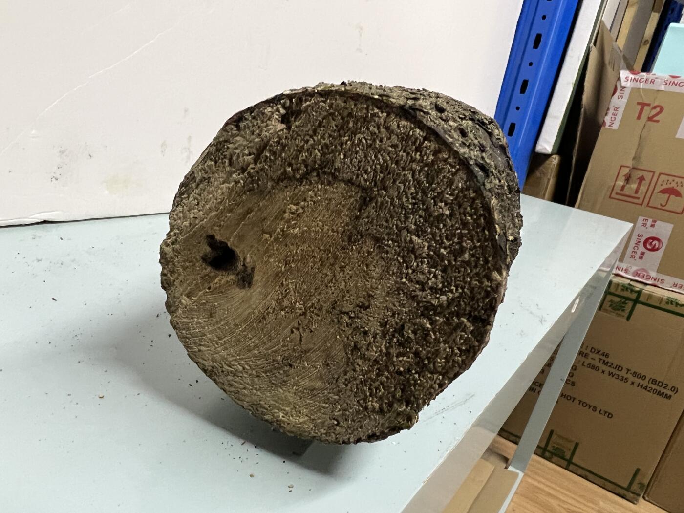 零元拍： 1220-1 金丝楠 原木 风水柱 横财（材）带皮， 尺寸：59/9.5/9CM。抛光后金灿灿满香。最后一图为成品效果。。抛光后金灿灿满香。最后一图为成品效果。如果带点瘤，意味着花纹更漂亮。抛光后金灿灿满香。最后一图为成品效果。