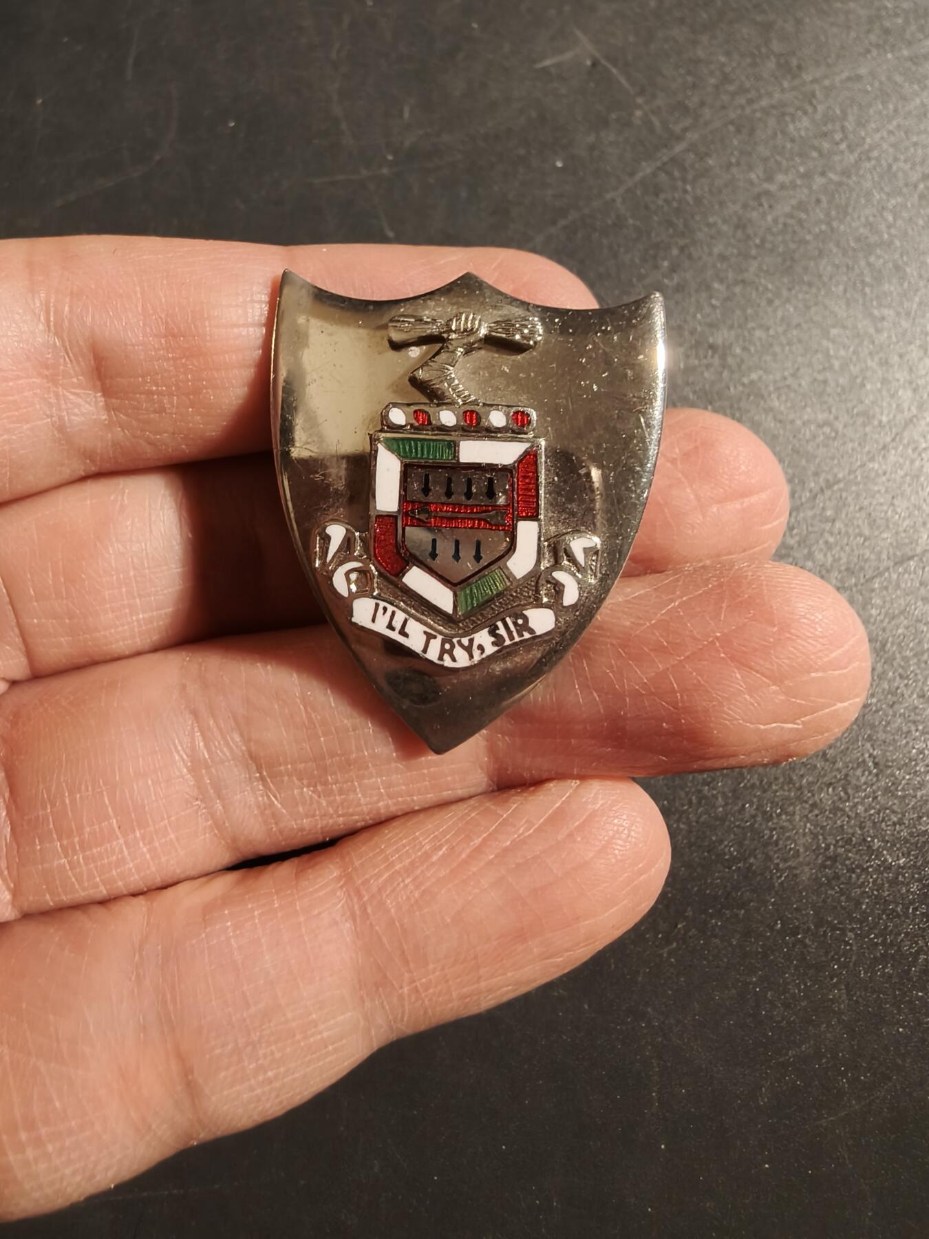 老王徽章第171期