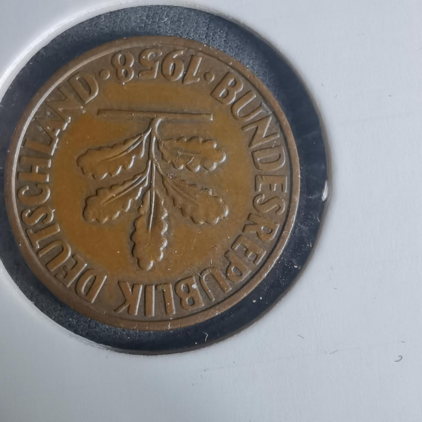 沼泽如烟--第940场