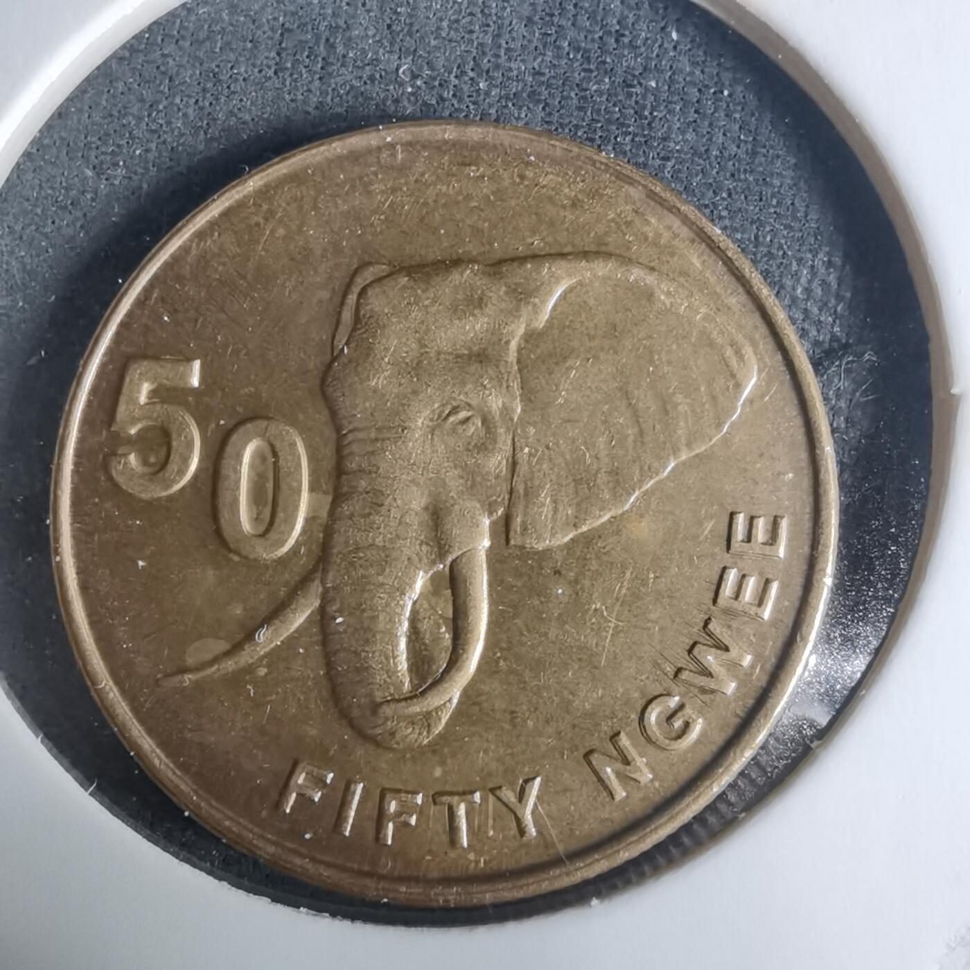 沼泽如烟--第940场