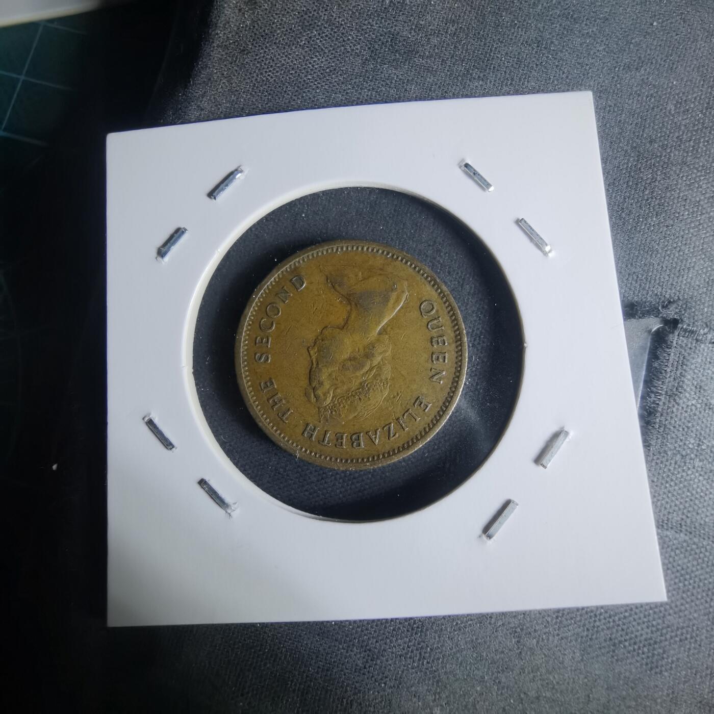 沼泽如烟--第942场