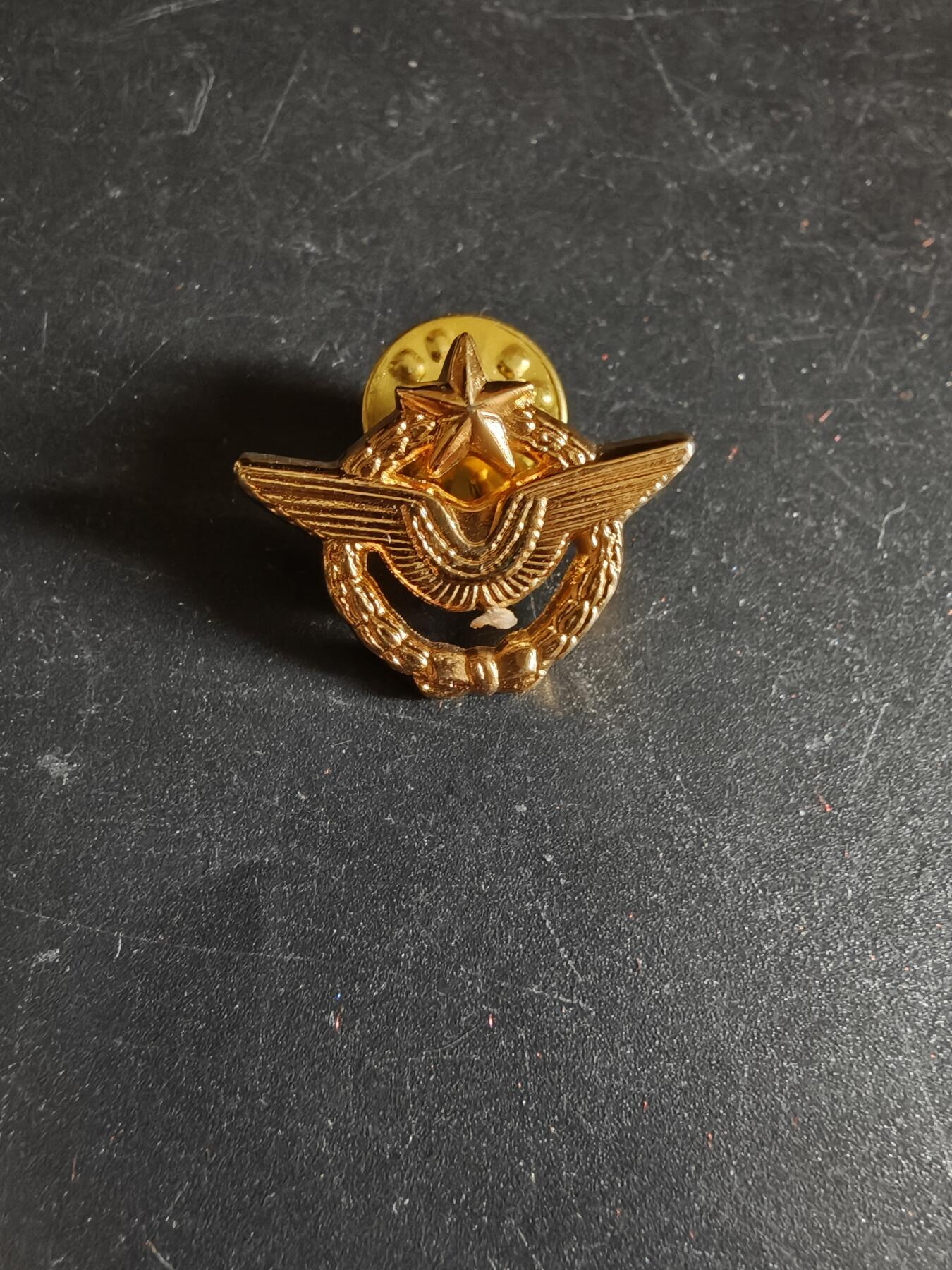 老王徽章第171期 法国空军飞行员迷你证章