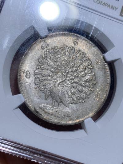 《竞宝斋》第449场 周日，周一，周二  3场连拍 （全场包邮，欢迎送拍） NGC MS61 缅甸1852年孔雀KYAT银币 眼喙锐利 羽毛丰满 原味包浆 顶级状态 孔雀价格一向注重状态 62以上的价格已令人仰望 可谓MS级别的最佳性价比之选 同分价格天差地别 东南亚四大神兽之一