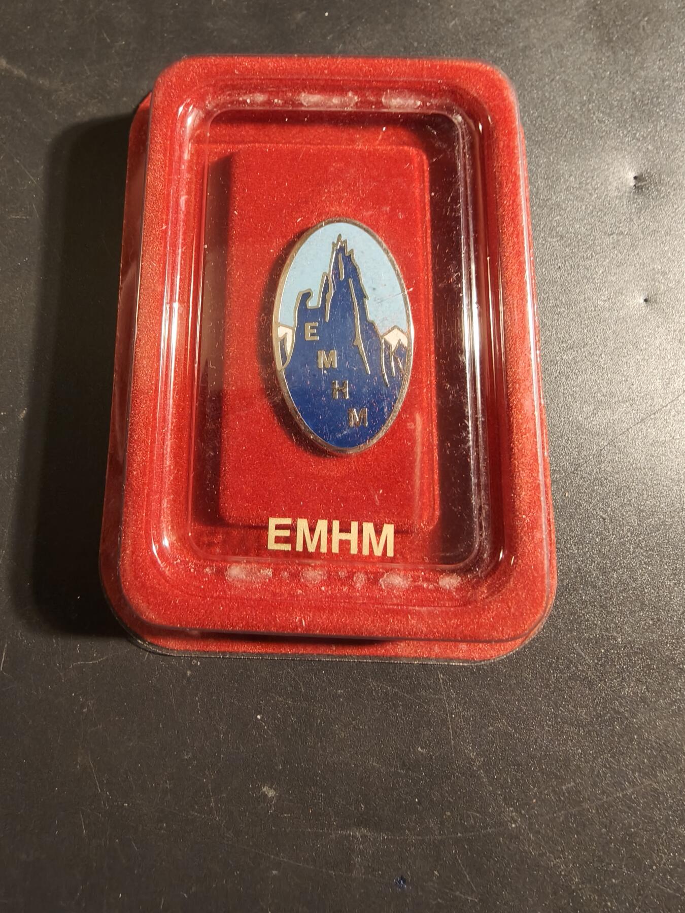 老王徽章第171期