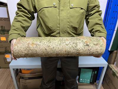 零元拍： 1220-2 金丝楠 原木 风水柱 横财（材）带皮， 尺寸：56/12.5/CM。抛光后金灿灿满香。最后一图为成品效果。。抛光后金灿灿满香。最后一图为成品效果。如果带点瘤，意味着花纹更漂亮。抛光后金灿灿满香。最后一图为成品效果。 - 零元拍： 1220-2 金丝楠 原木 风水柱 横财（材）带皮， 尺寸：56/12.5/CM。抛光后金灿灿满香。最后一图为成品效果。。抛光后金灿灿满香。最后一图为成品效果。如果带点瘤，意味着花纹更漂亮。抛光后金灿灿满香。最后一图为成品效果。