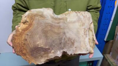 零元拍：1220-5香杉木老根榴干泡茶盘 毛坯，尺寸约：380/250/厚35MM，满花，药香满鼻，因为没有上漆，干燥天气可能会产生裂纹，属于正常现象