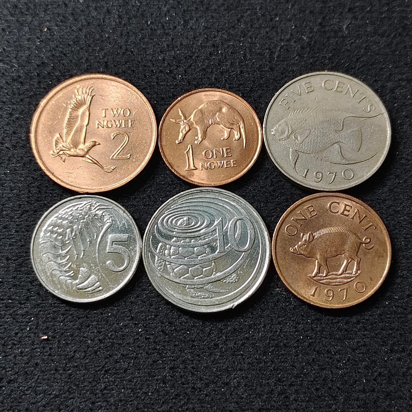 【全场包邮】纯粹捡漏拍488场（免费代拍第25场） 世界各国各年份动物币6枚一组