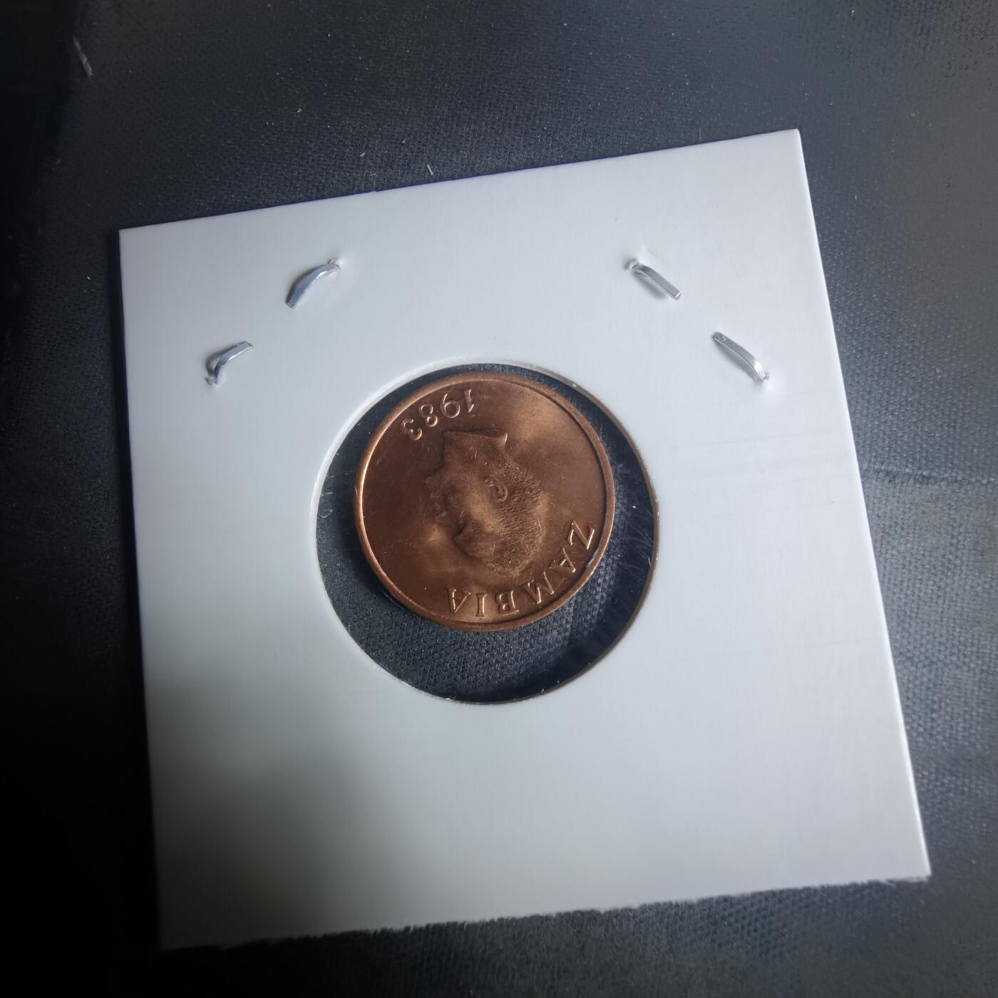 沼泽如烟--第940场 赞比亚1983年1恩韦