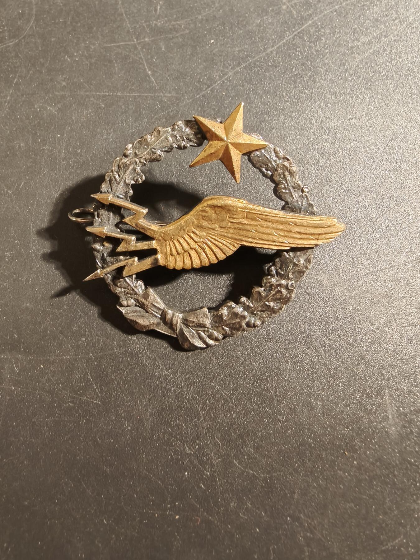 老王徽章第171期