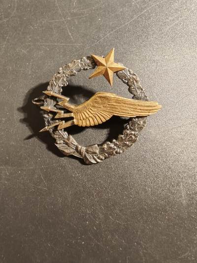 老王徽章第171期 - 法国空军通信兵学员证章