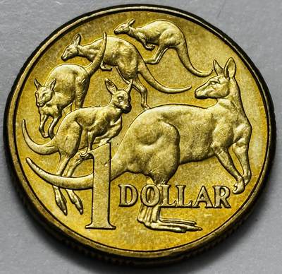 文馨钱币收藏第 286 场，圣诞节专场【 长期接收代拍品低至 0 佣金】 - 原铜光2016 年澳大利亚一元袋鼠币