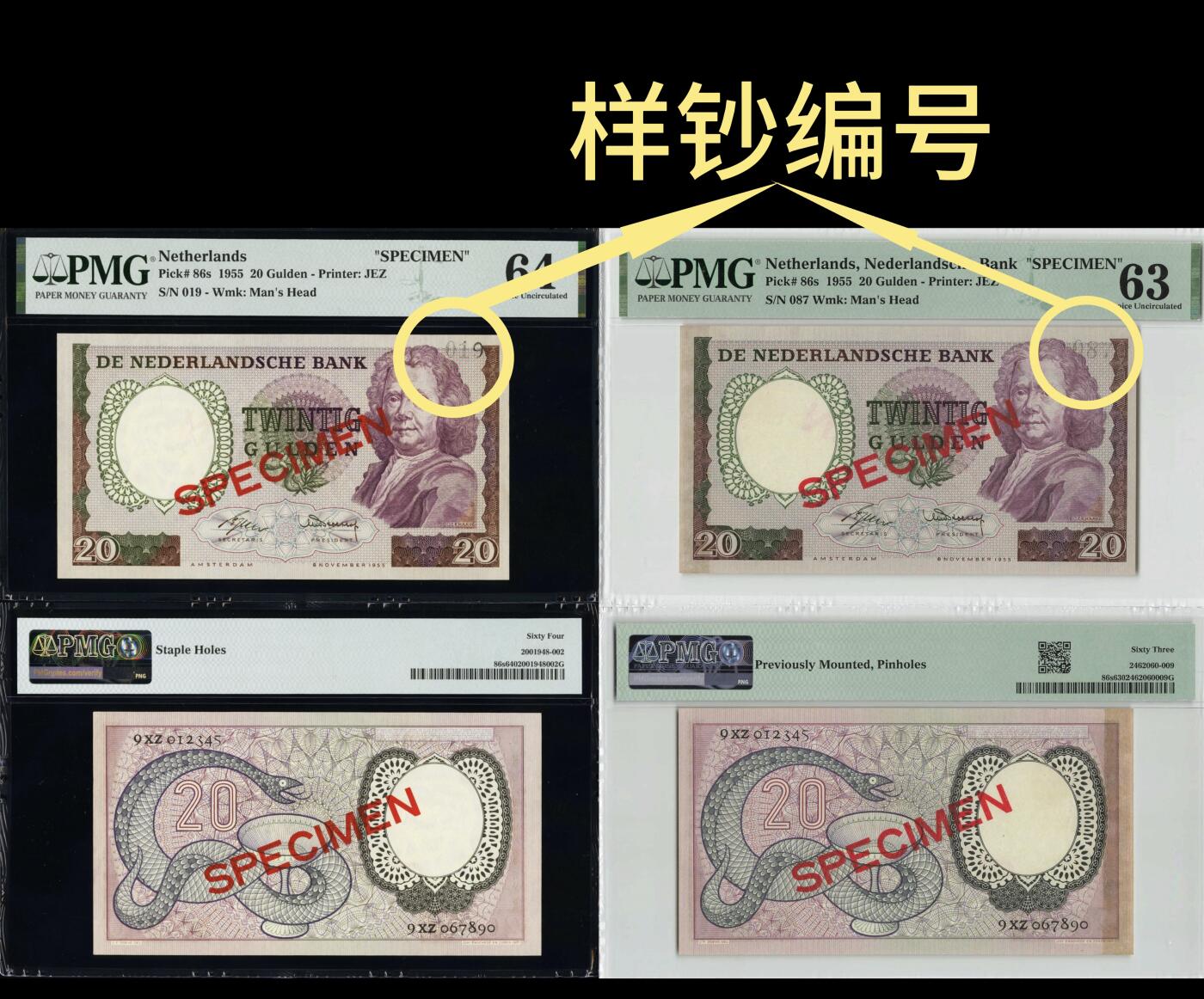 【Blue Auction】世界纸币精拍第766期——18级TOP拍卖/信誉/品质/专业/高效💫 【仅2张更高分 试色样钞】荷兰1955年20盾 经典毒蛇 PMG64（相较于普通版本，饱和度、对比度更优，尤其是赫尔曼·布尔哈夫肖像的紫色调区域，且没有普通样钞编号，这种刷色在只有个位数记录的样钞里面也比较难得）（常见样钞多针孔及装帧胶印，针孔普通样钞曾拍出660美金）