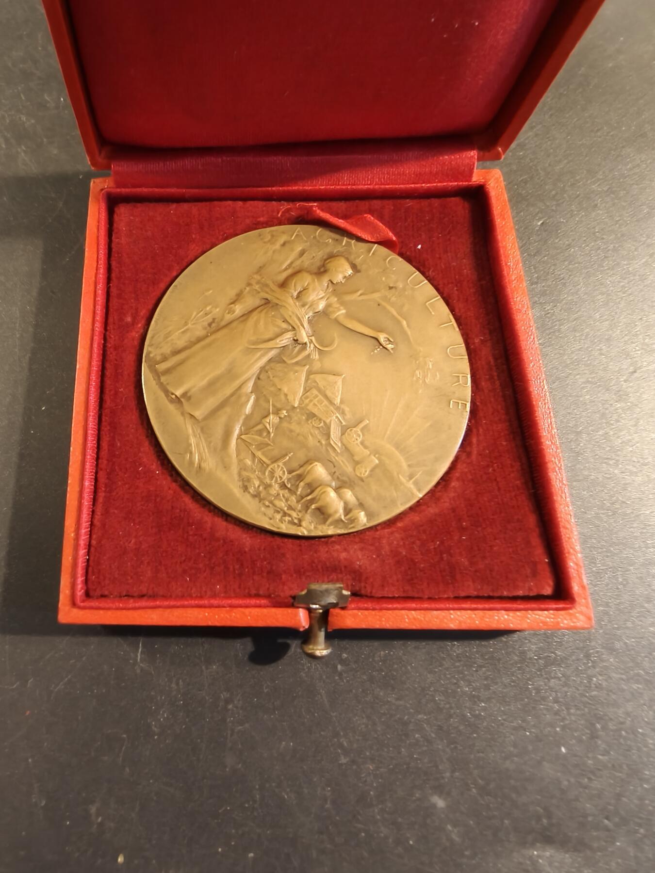 老王徽章第171期 法国萨瓦省圣朱利安昂热讷农业协会大铜章     原盒       大师P.Grandhomme作品     直径50mm     重量55.1g