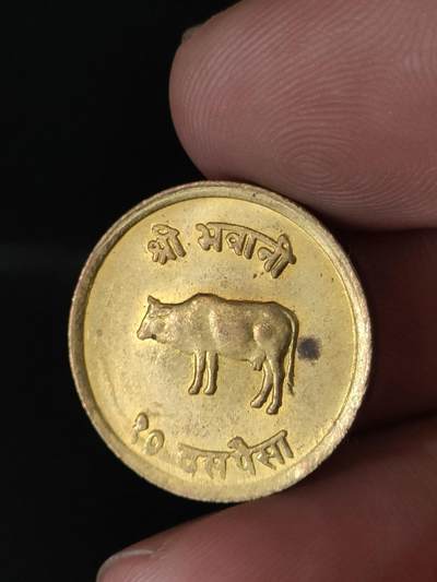 猩哥外币小铺➨【第212场】 - 尼泊尔