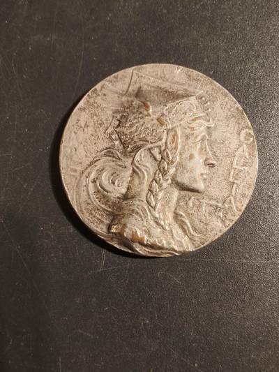 老王徽章第171期 - 法国书商协会镀银大铜章     高卢人形象    直径41mm     重量29.2g