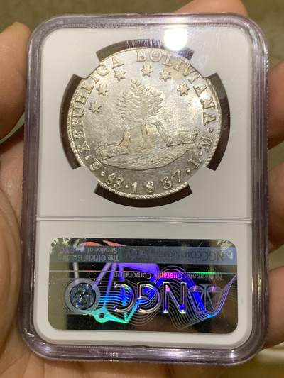 《竞宝斋》第449场 周日，周一，周二  3场连拍 （全场包邮，欢迎送拍） 唯一亚军分 NGC MS63+ 玻利维亚1837年8瑞尔早期大银币 白净转光 非常不易的状态 更高分仅一枚