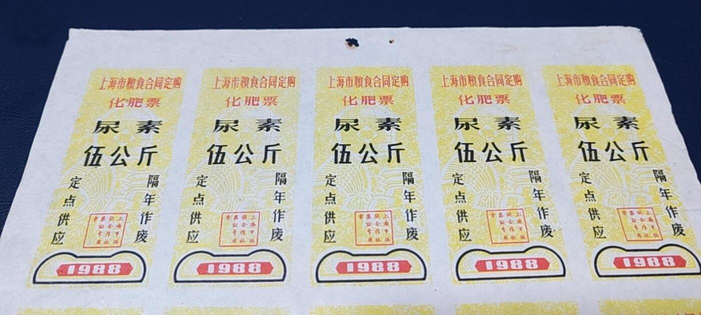 票证拍场，都是整版或者联票