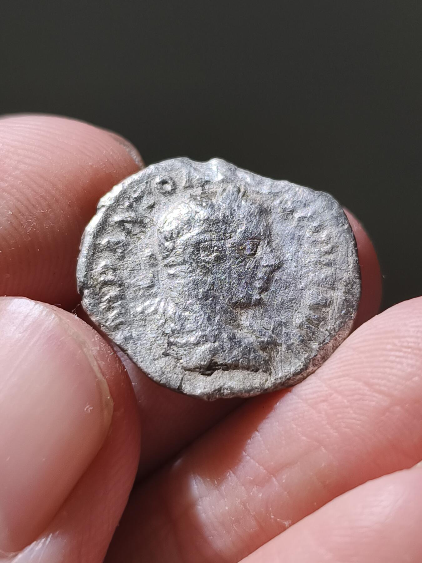 星盘世界钱币十二月二十七日古典币专场