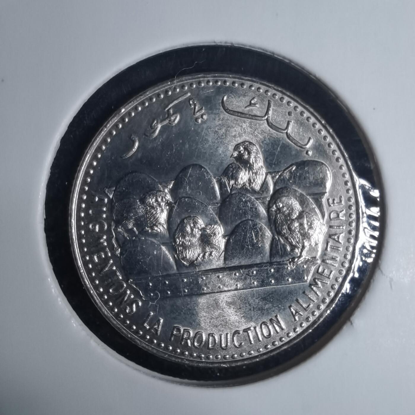 沼泽如烟--第940场