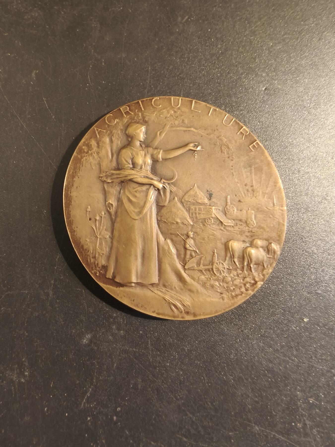 老王徽章第171期 法国萨瓦省圣朱利安昂热讷农业协会大铜章     原盒       大师P.Grandhomme作品     直径50mm     重量48.6g