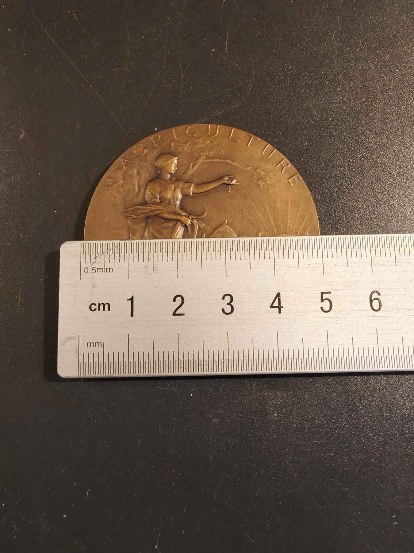 老王徽章第171期 法国萨瓦省圣朱利安昂热讷农业协会大铜章     原盒       大师P.Grandhomme作品     直径50mm     重量48.6g