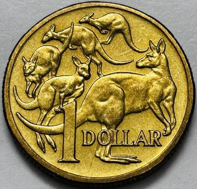 文馨钱币收藏第 286 场，圣诞节专场【 长期接收代拍品低至 0 佣金】 - 原铜光 2004 年澳大利亚一元袋鼠币