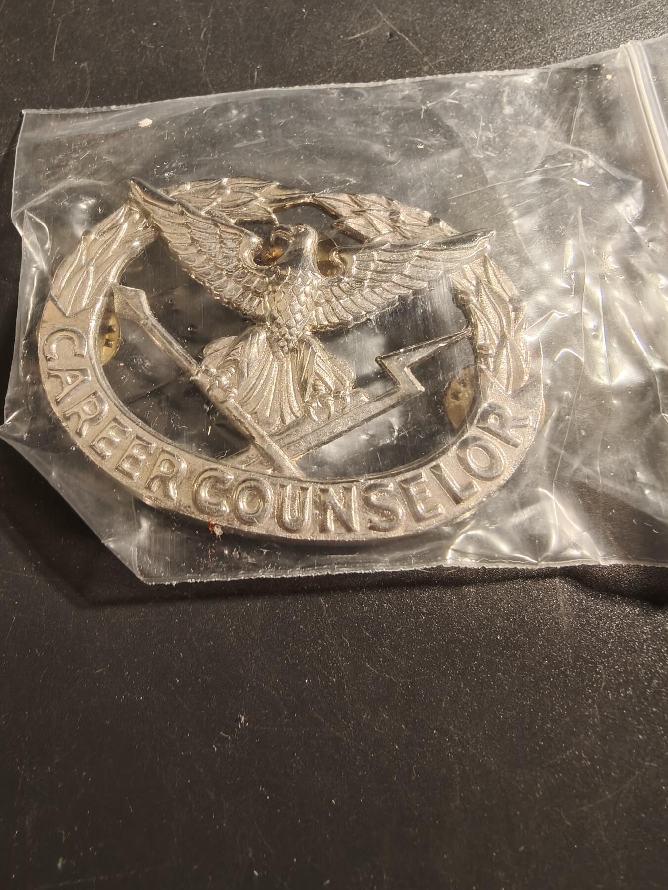 老王徽章第171期