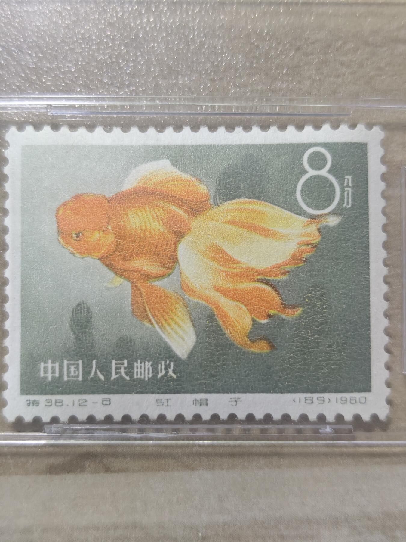 老纪特六珍 纪38金鱼12-8