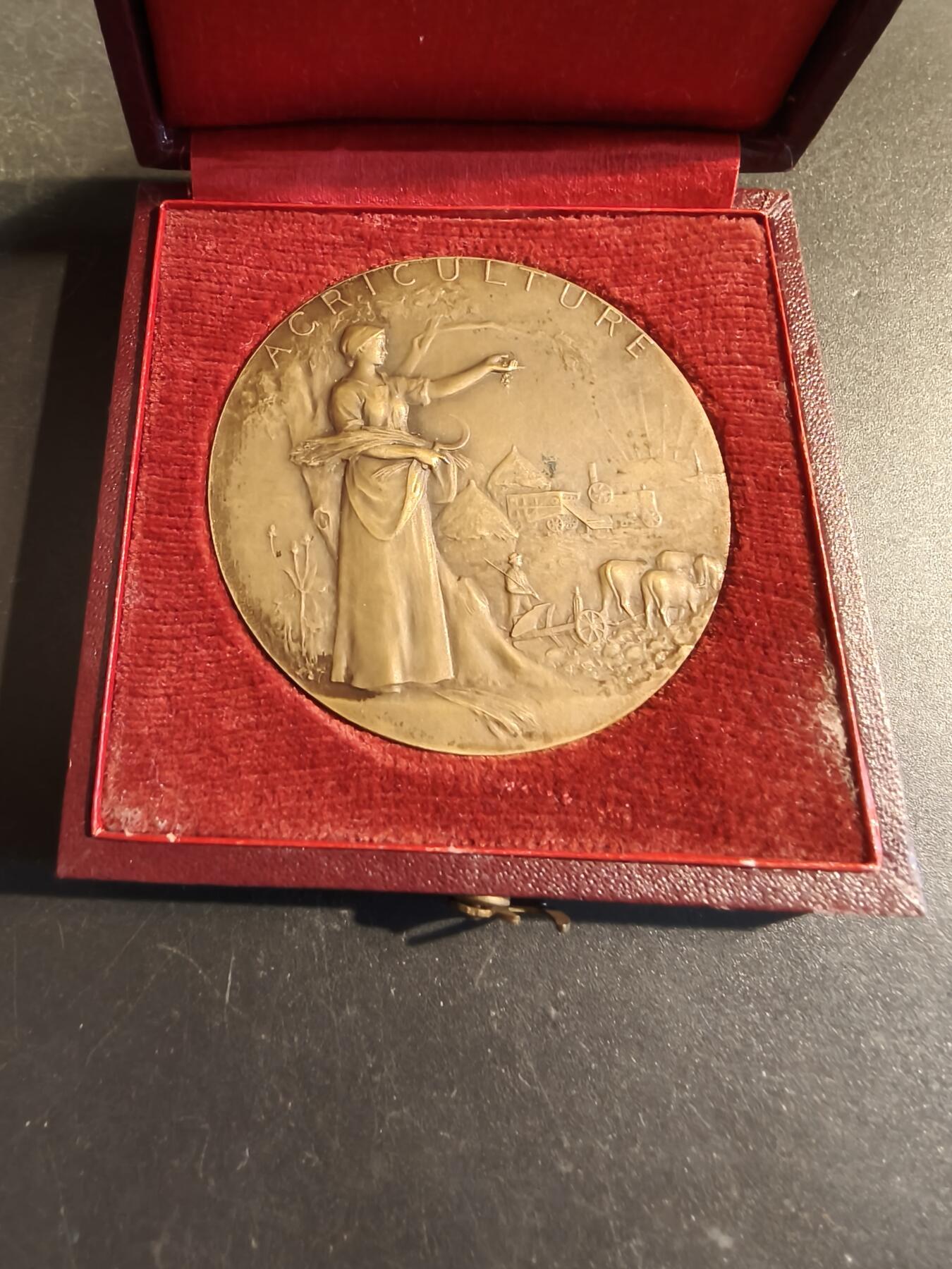 老王徽章第171期 法国萨瓦省圣朱利安昂热讷农业协会大铜章     原盒       大师P.Grandhomme作品     直径50mm     重量48.6g