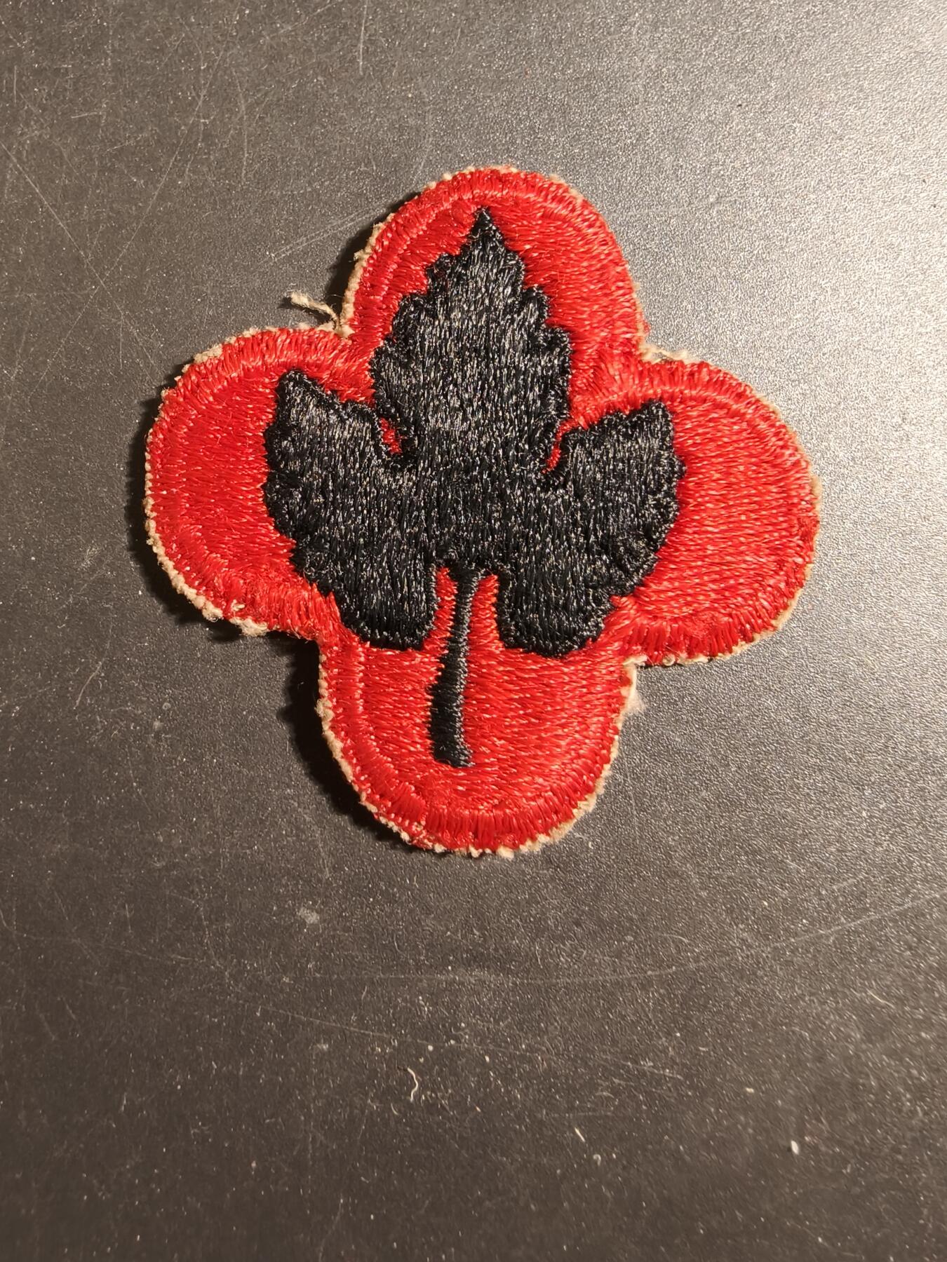 老王徽章第171期 美国陆军第43步兵师臂章