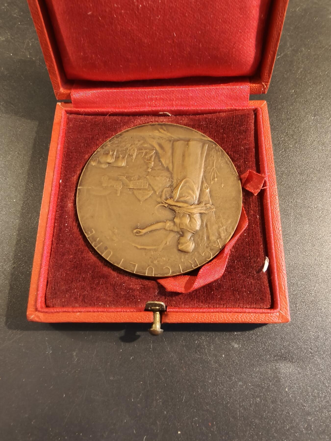 老王徽章第171期 法国萨瓦省圣朱利安昂热讷农业协会大铜章     原盒       大师P.Grandhomme作品     直径50mm     重量54.7g