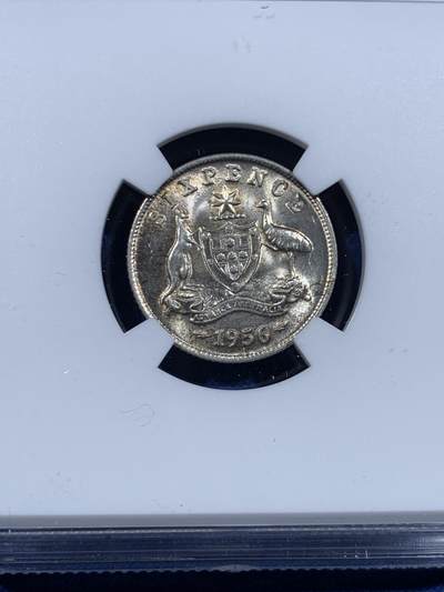 《竞宝斋》第449场 周日，周一，周二  3场连拍 （全场包邮，欢迎送拍） NGC MS63 澳大利亚1956年袋鼠鸸鹋6便士银币，少见品种，克书标记小特年，底板光度都很棒。