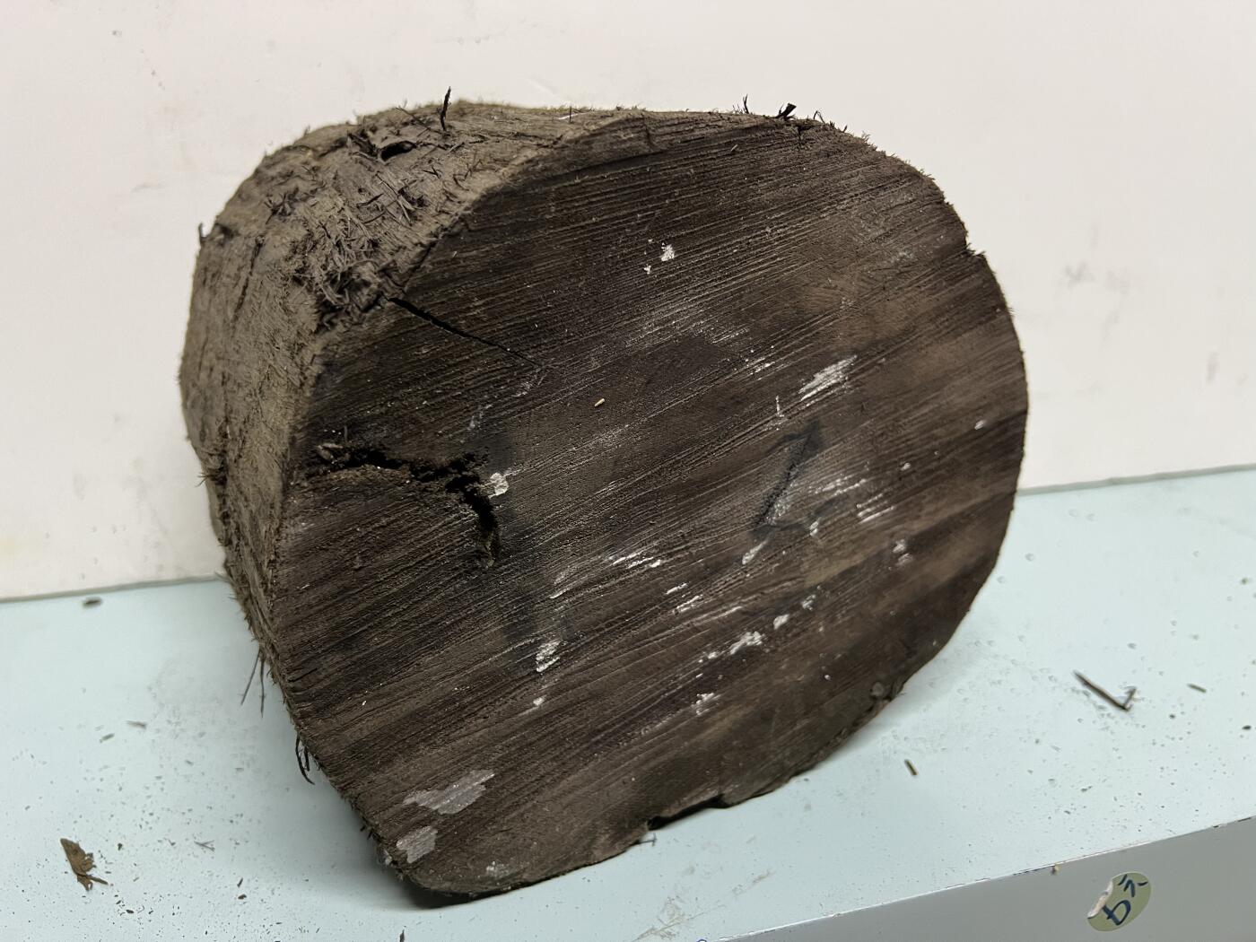 零元拍：金丝楠墩子老料 做凳子 做茶台  车珠子 都可以满肉满金丝 果香满满 尺寸：21/19/17CM。