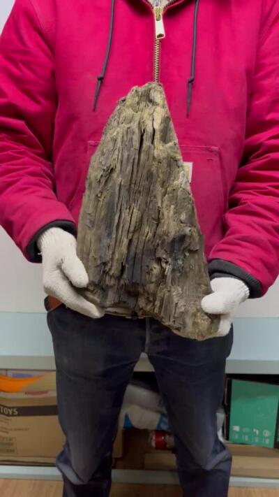 零元拍：金丝楠墩子老料 山峰 情景随型 满肉满金丝 果香满满 尺寸：32/25/15CM。