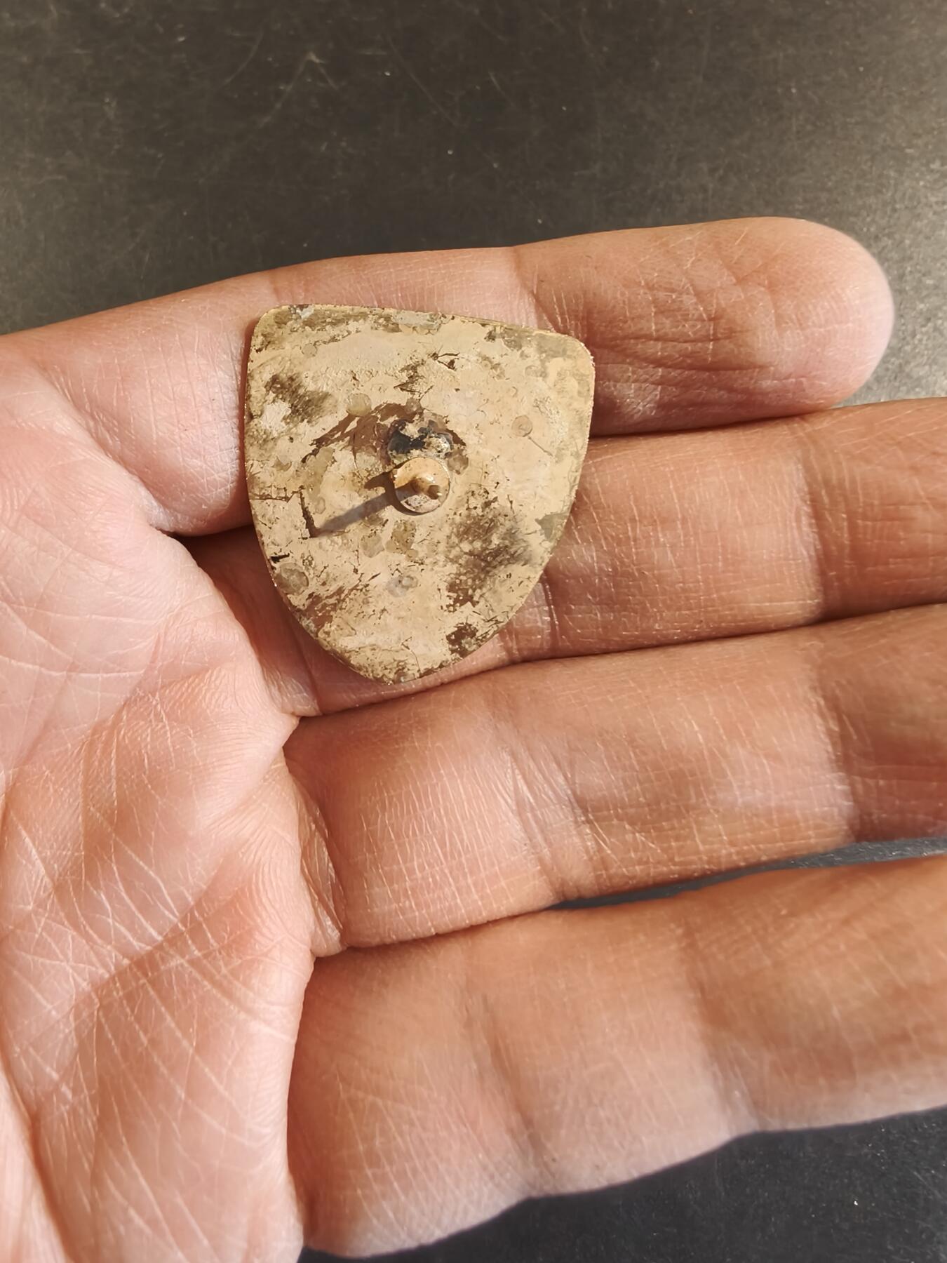 老王徽章第171期 美国陆战5师徽章    早期版本