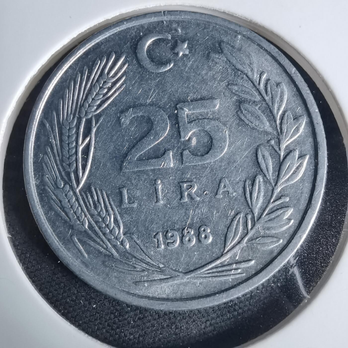 沼泽如烟--第940场