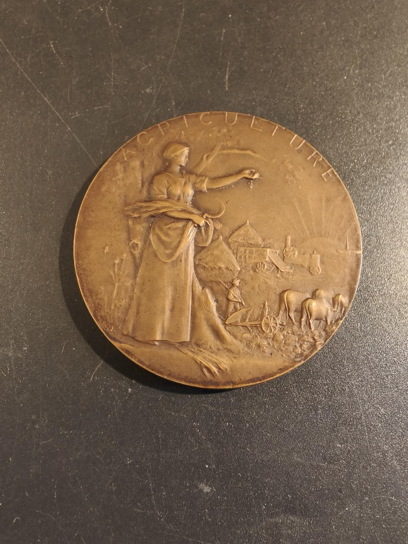 老王徽章第171期 法国萨瓦省圣朱利安昂热讷农业协会大铜章     原盒       大师P.Grandhomme作品     直径50mm     重量54.7g