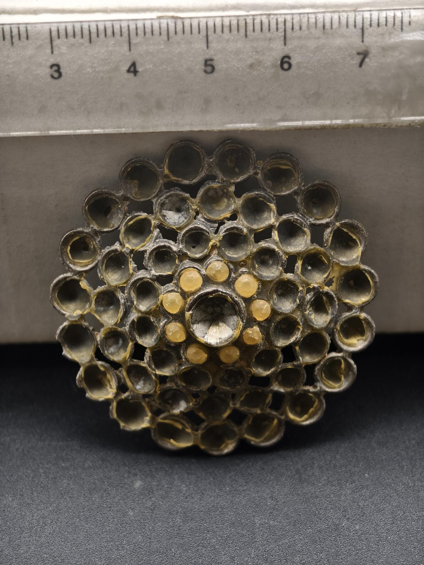 97期回流戒指饰品杂件纪念章丝路钱币专场