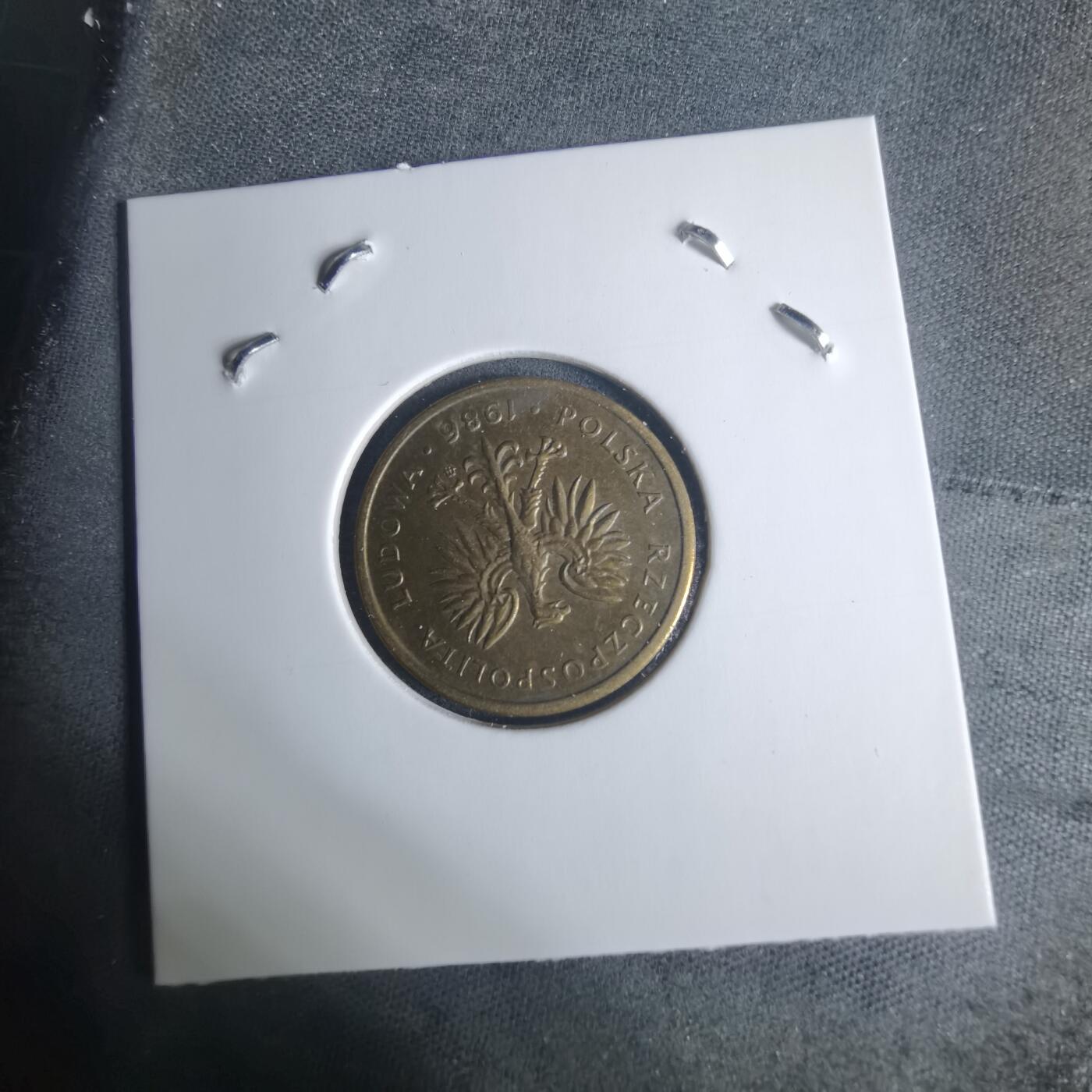 沼泽如烟--第940场 波兰1986年2兹罗提