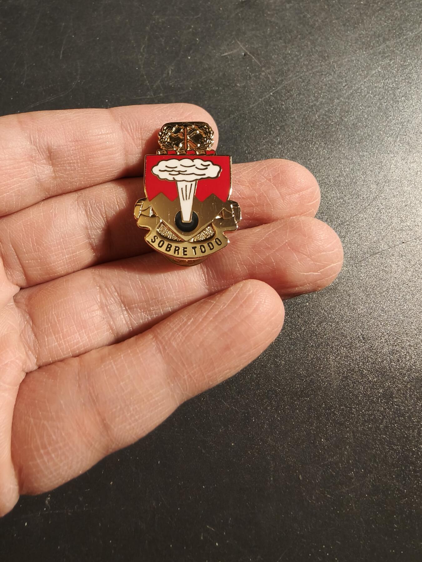 老王徽章第171期 美国陆军第421团证章