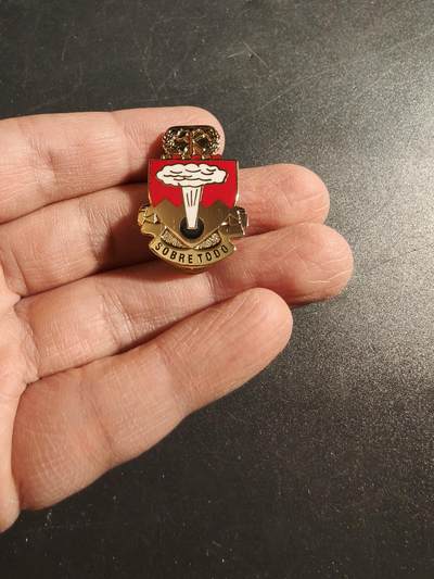 老王徽章第171期 - 美国陆军第421团证章