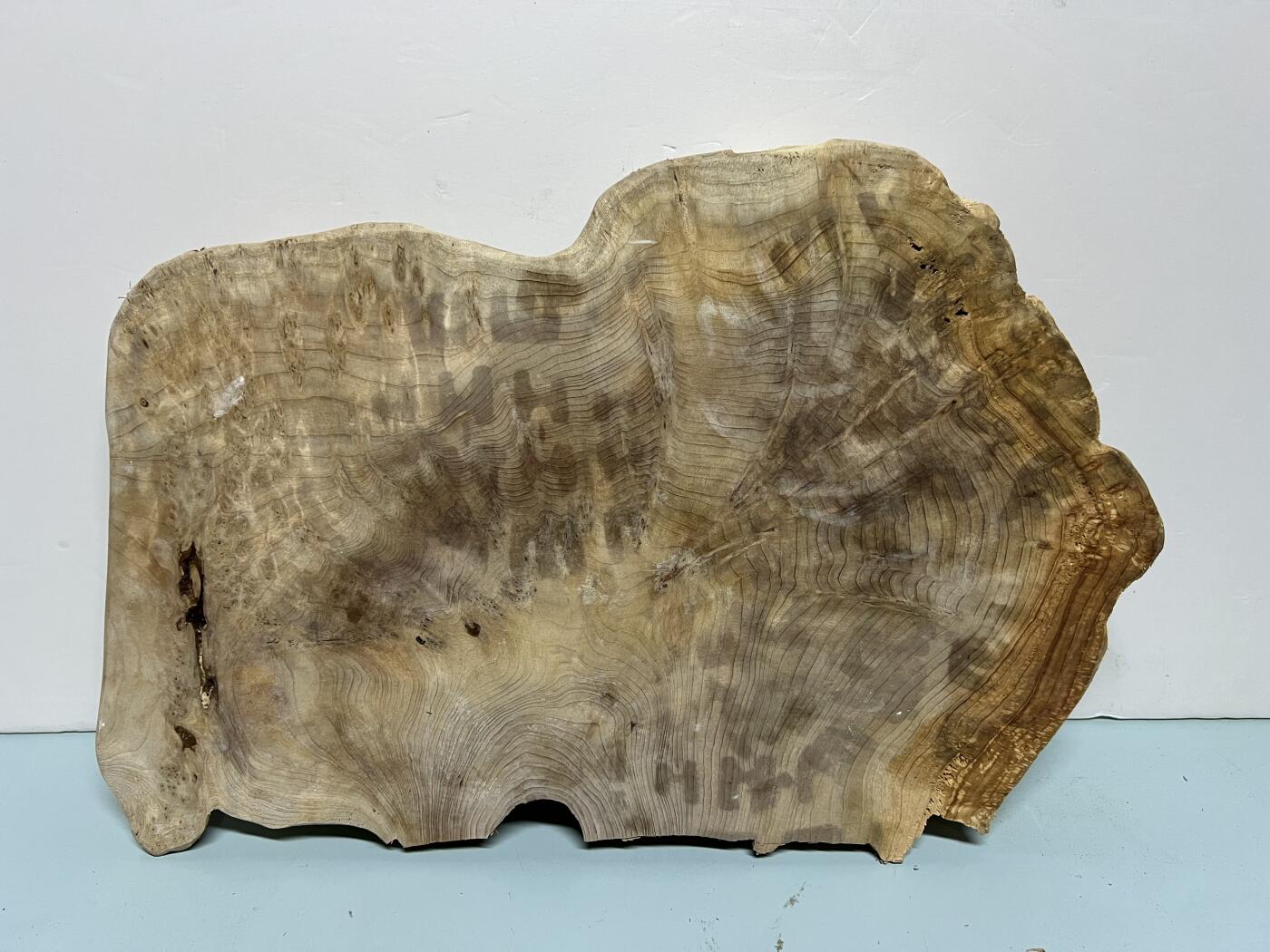 零元拍：1220-5香杉木老根榴干泡茶盘 毛坯，尺寸约：380/250/厚35MM，满花，药香满鼻，因为没有上漆，干燥天气可能会产生裂纹，属于正常现象