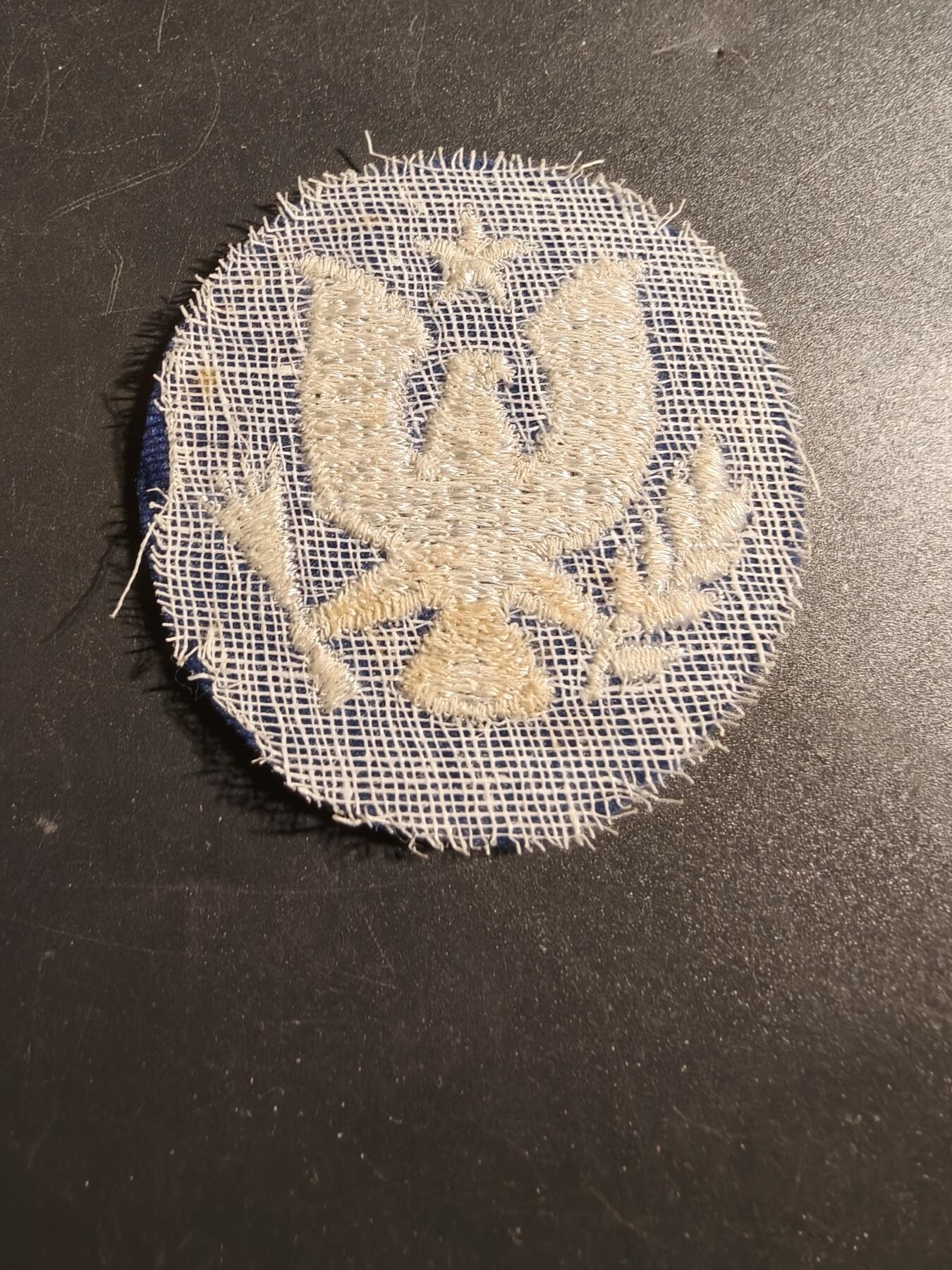 老王徽章第171期 美国二战时期高中胜利军团社区服务臂章    该组织成立于1942 年9 月25 日，旨在让高中生参与战时工作。 