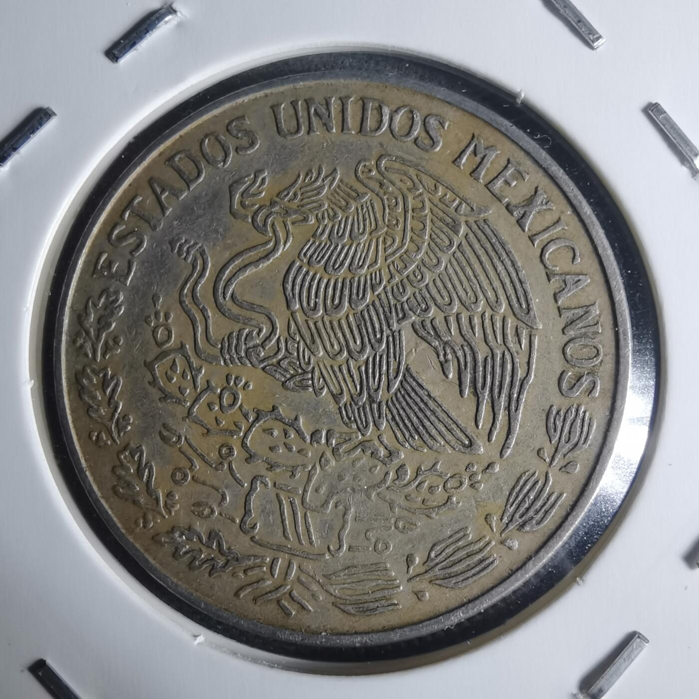 沼泽如烟--第942场