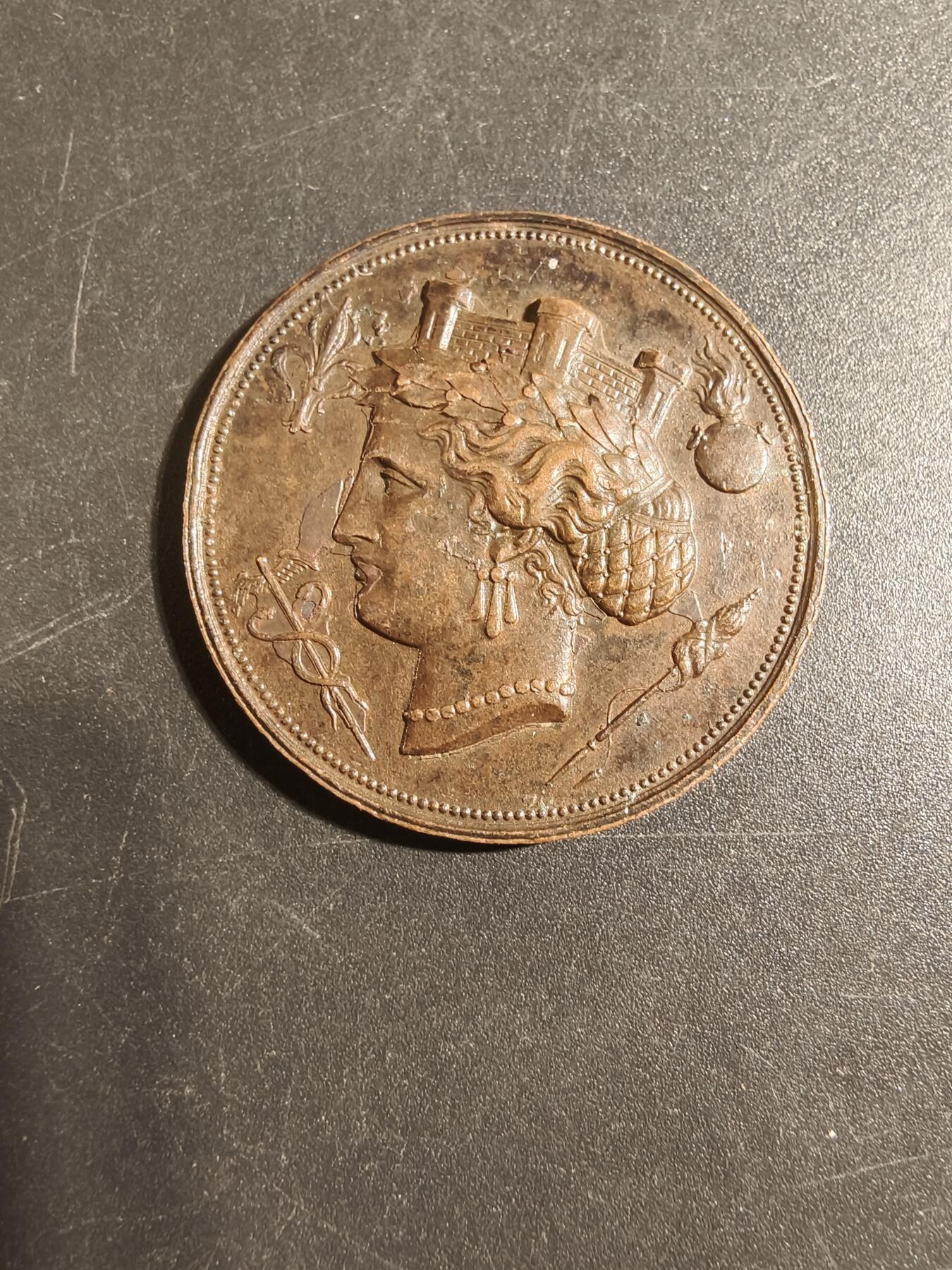 老王徽章第171期 法国里尔农业与艺术科学学会大铜章    直径34mm     重量14.4g